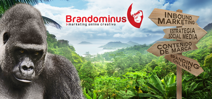 Brandominus | Agencia Creativa Digital