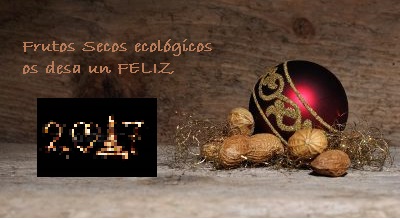 www.frutossecosecologicos.es